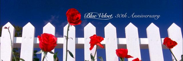 philippe_carini_header_bv1_1500x500.jpg