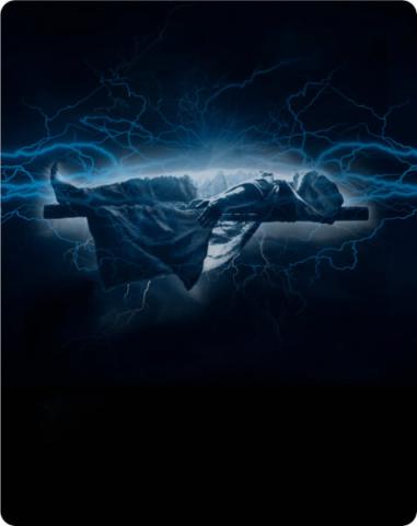 Mary Shelley's Frankenstein (Blu-Ray - Steelbook Zavvi)-2.jpeg