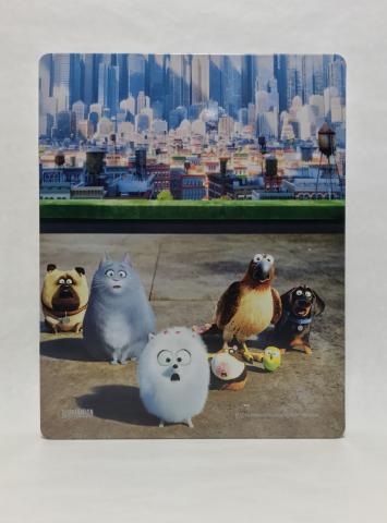 FullSizeRender (4).jpg