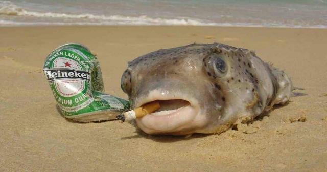 alcool-soiree-soiree-etudiante-week-end-d.jpg