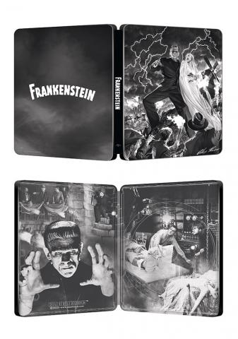 frankenstein.thumb.jpg.916f8597e243ab6e7eda056c3c451689.jpg