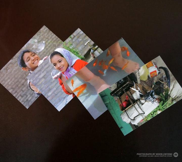 e10.thumb.jpg.0f60510abaf3bfc0358cf4c447d84844.jpg
