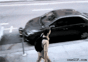 1288111579_1_badluckbrianhasahangover.twitterjosephwillistumblrhttpjoseph-f-willis.tumblr.comifollow_c3ddf2_3749404.gif.50aa8c6831cd55f32eea9f694e000f1f.gif