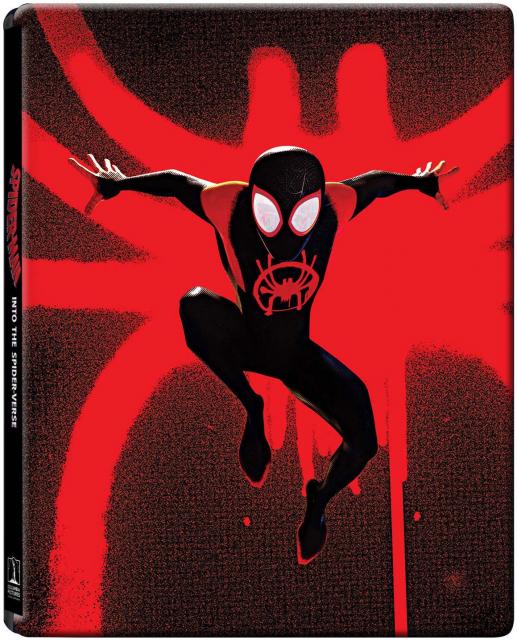 Spider-Man - Into the Spider-Verse (Combo 4K UHD+Blu-Ray - Steelbook).jpg