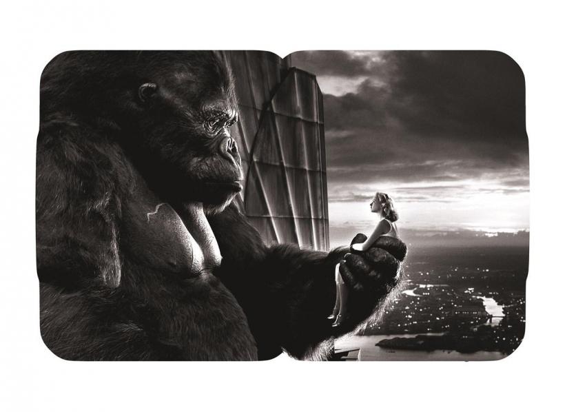 kingkongzoomintern.jpg