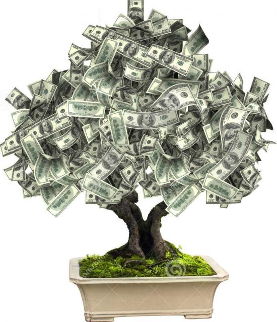 arbre-d-argent-avec-des-billets-de-banque-du-dollar-61688030.thumb.jpg.b75f624eac6631246355f3a546ddd3ce.jpg