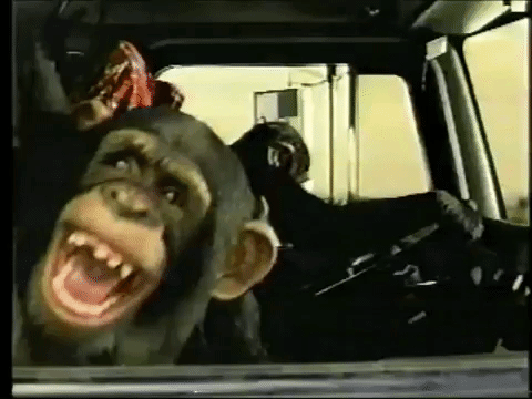 rire.gif.df37045c8e035cc99653bd290524d969.gif