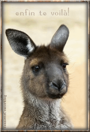 bcb5e25a.gif.369d1390aa065f7cf2397f81af902e8c.gif
