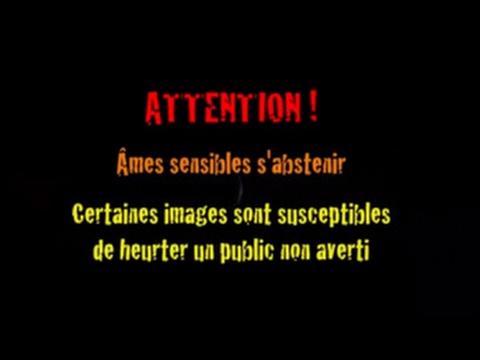 hqdefault.jpg.f207a2700502145de638e87955d7a091.jpg