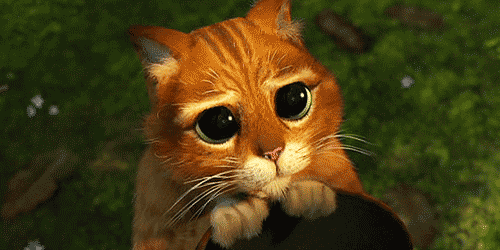 tumblr_mifjd3iIBK1s3o373o5_500.gif.08b21df6bbe108b358a409cba0ad7be3.gif
