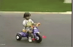 41061A24-8350-4806-B7D6-A3A4AF909B0A.gif.20403e37732d7c07500bad2e03c01d52.gif