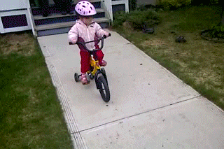 7C16C596-7192-4420-9913-402873FCBD53.gif.0b40bd9f6d831b557d654edbb0fce4f3.gif