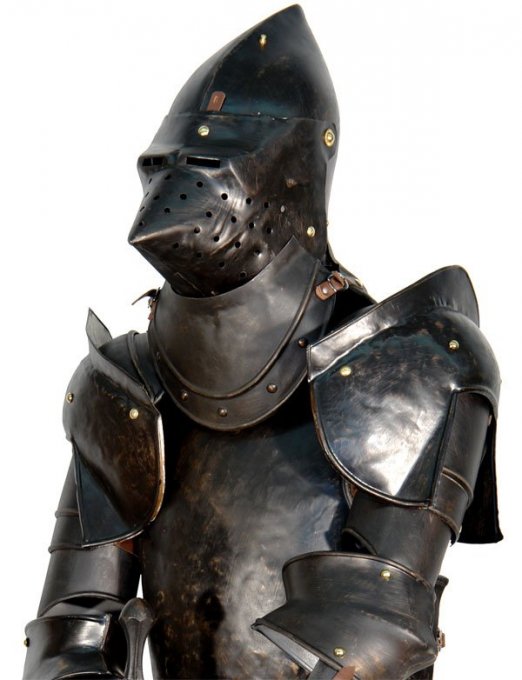 armure-museau-chien-jla017a-z.thumb.jpg.ac273f06ed7730a993de8cc8778dfd2d.jpg