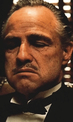 IdealisticLongIchneumonfly-size_restricted.gif.b0d126572913640f0e3b48f5f0261484.gif