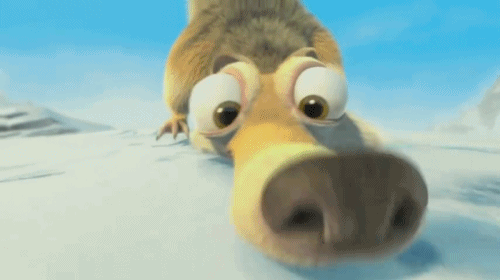 scrat-renifle.gif.af67c4e95e6ecf332b88cef159ee76ca.gif