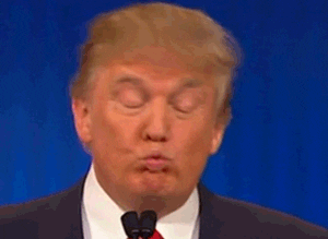 giphy-25.gif.66ca06e97b3b49295ba47be406ab0ad0.gif