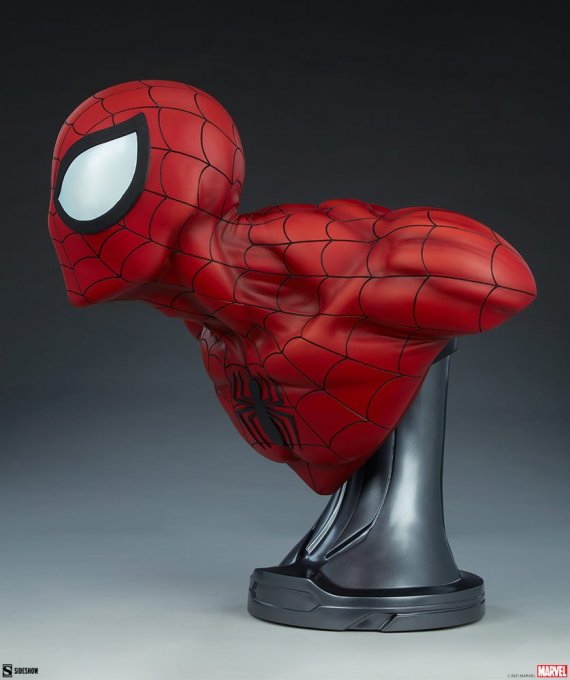 spider-man_marvel_gallery_605d01545964e.thumb.jpg.dfd60d97bdb6a59f791c076f8f34d5c8.jpg