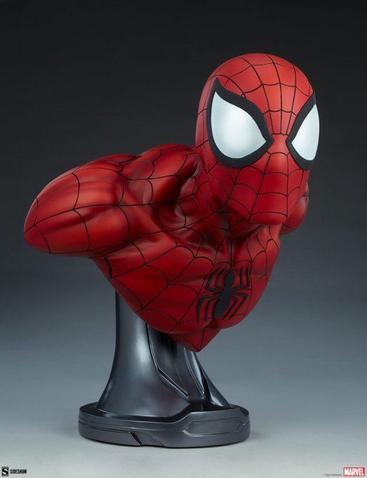 spider-man_marvel_gallery_605d01555c9fd.thumb.jpg.84caa101fbf304c486ce602b3cb3621e.jpg