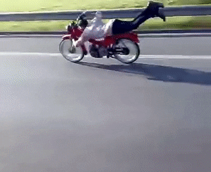 HarshFatBeetle-size_restricted.gif.4f251ae1e4168cd3118b862022146f7b.gif
