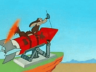 wiley-coyote.gif.58650617281d12ff8fd646f1da59accf.gif