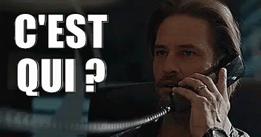 cest-qui.gif.7905ab462ffb5b65d9c89b13384b953a.gif