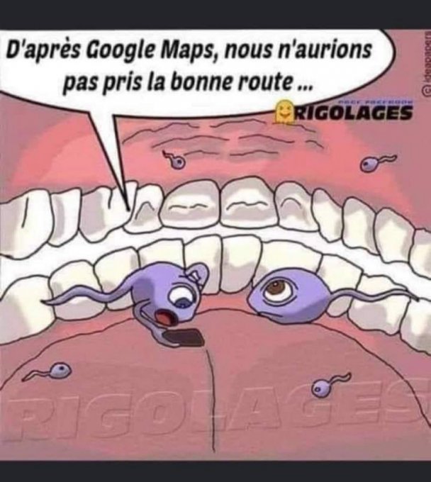 DF4FE191-184C-4C70-842B-4F47B544381A.thumb.jpeg.110b6486c8c3528d5d4cf01129aa0d62.jpeg