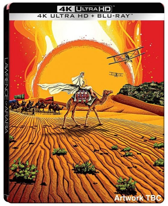 491195897_LawrenceofArabia.thumb.jpg.e59a36d55fbb5609cd236f06d982b283.jpg