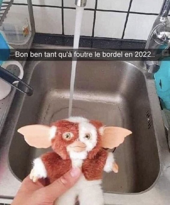 B71AF985-72CF-4E39-BBE9-BCDF2C5B13CB.thumb.jpeg.de31dff94423830af85208b22c35ddcb.jpeg