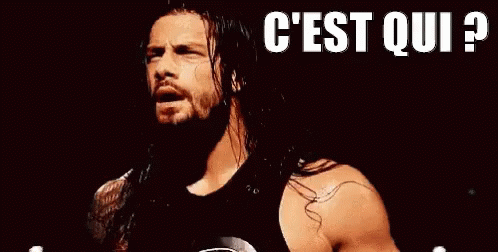 cest-qui-1.gif.776d83be861b88950b258db000e58d53.gif