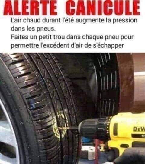 FB_IMG_1655894294543.jpg.fe5a6369579c7c7b62cd1b3cc333f9e4.jpg