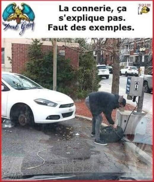 FB_IMG_1656484474599.jpg.6238744a7fd3b09dd635c359f5a51f43.jpg