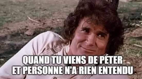 FB_IMG_1656503323337.jpg.a3ce38b12e6efb520d63e08cbdaa1558.jpg