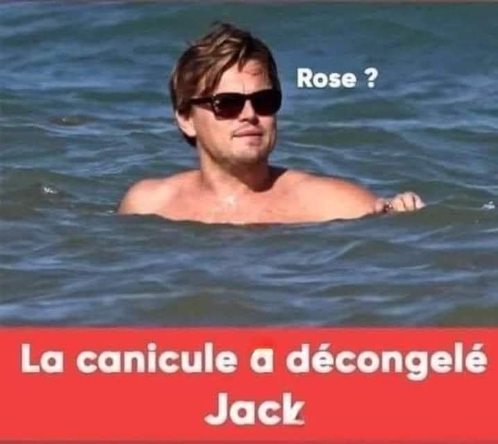 FB_IMG_1658341735571.jpg.60da825c09c52736bdd61efa2d44582b.jpg