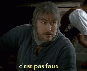 cest-pas-faux.gif.2b2dfb255aaa60fb2c833c83bd9267fd.gif