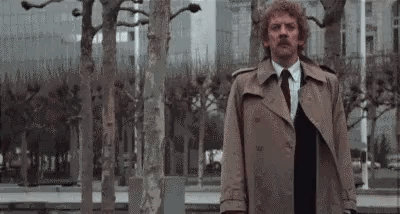 image.gif.8aad8633de61c24e5445ba0ec5178f7b.gif