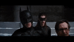 RashBowedIrishsetter-max-1mb.gif.026eb6be270297a225f903e77df80cb9.gif