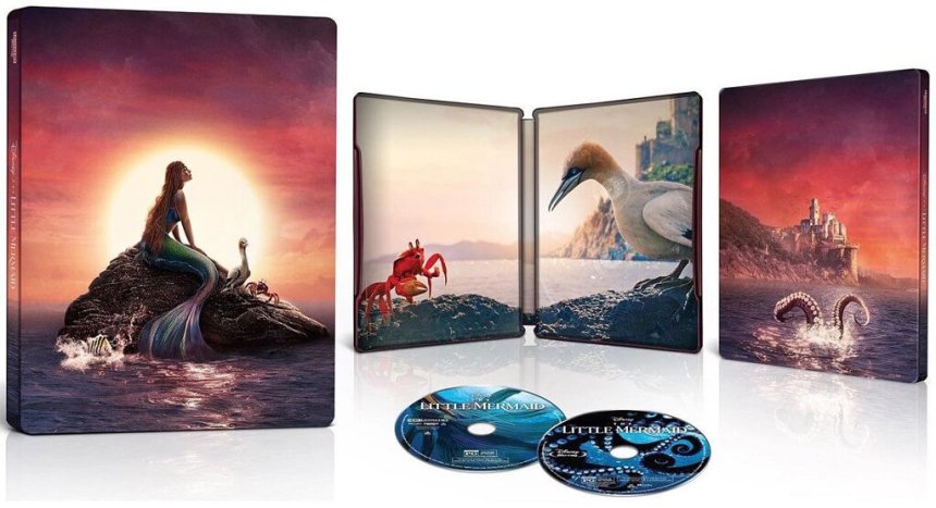 206111398_La-Petite-Sirne-_2023_-steelbook-4K.thumb.jpg.3a97cce8631d67f74dd0dcf2c5ecd89d.jpg