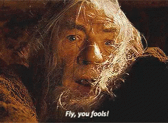 gandalf-lotr.gif.7300c348a011d185ebff9f939f6406c8.gif
