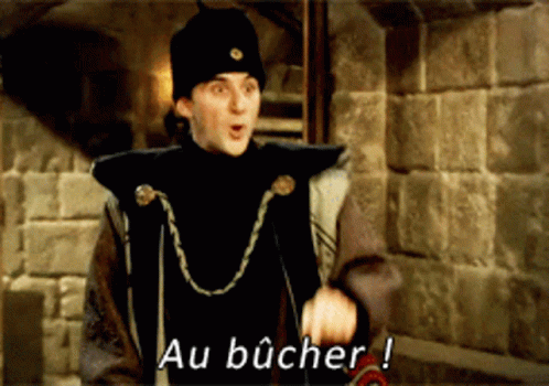 kaamelott-bucher.gif.40f86c504ee72525bf6f03db49ab2907.gif
