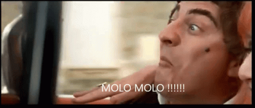 visiteurs-molo.gif.a33a4d403cc00ebebbee3ec22e8f910a.gif
