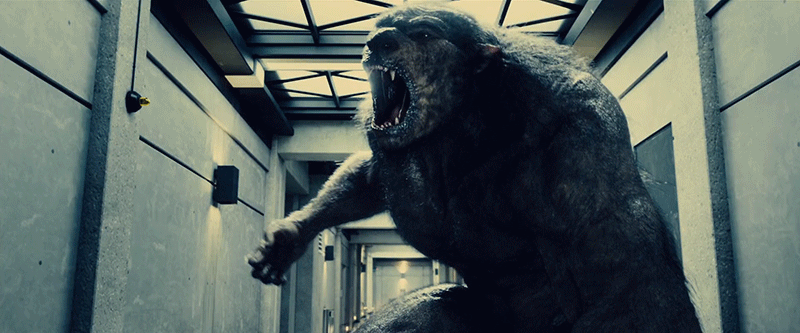 a2a13cb1b3d1124c23e962eb52b1be42.gif.a2e57088e1db9851127bd25f5bf48012.gif