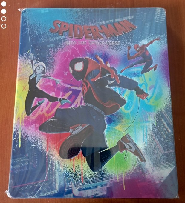 Spider-man New Generation Mantalab Recto avec slip.jpg