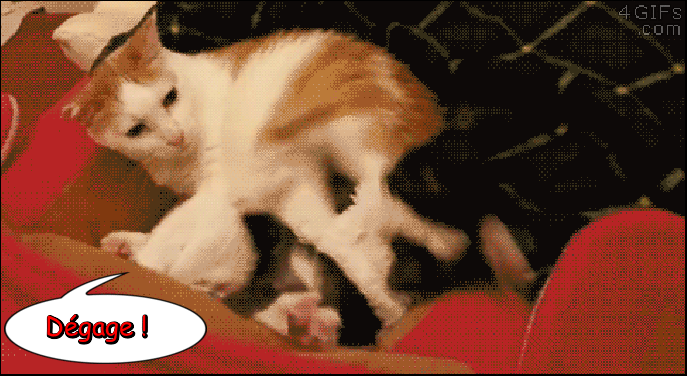 jt1t4JN6shL0.gif.8ec3ea96294af995c3b954d8a836e661.gif