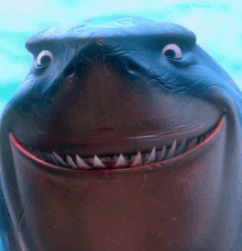 shark-finding-nemo.gif.1a3028fbbc9e6e40780b821aa9f9cebe.gif