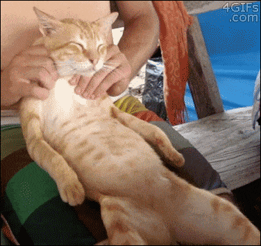 u0l.gif.7120d5c533e28c8345555069b71bd479.gif