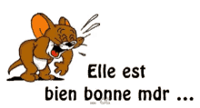 hhh-jerry.gif.a9e8c0645988d0e737d17e04817d1552.gif