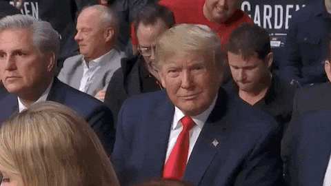 giphy(4).gif.93c47c296bb46930385751b289a2e95d.gif