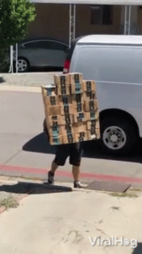 carrying-boxes-viralhog.gif.8effa0e380657d5720376115517f157a.gif
