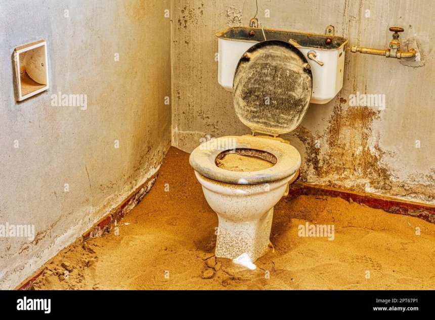toilettes-sable-ruine-kolmannskuppe-ville-fantome-luederitz-namibie-2pt67p1.thumb.jpg.68ad71bb10cd7651d4b25dcd335430e0.jpg